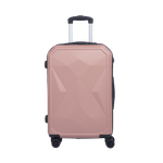 REN12DV12D9020-ROSAVIEJO
