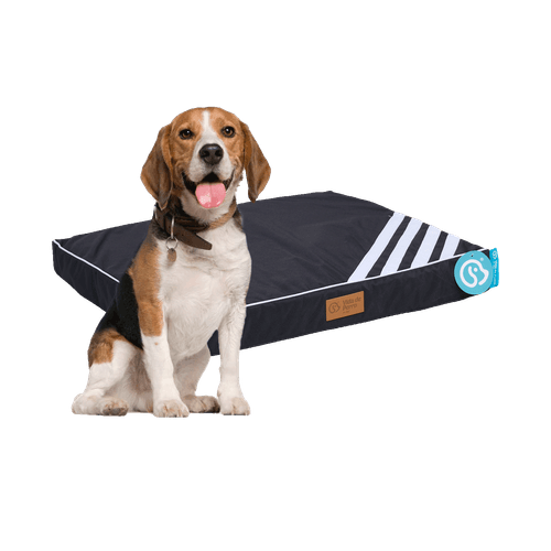 Cama para Mascotas Vida de Perro VDP-ROCO