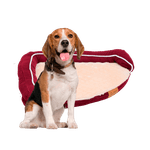 VIDA-D-PERRO-CAMA-P-MASCOTA-VDP4006BUR-MUEBLES-VPE2106BUC30UN-MUNDOTOTAL