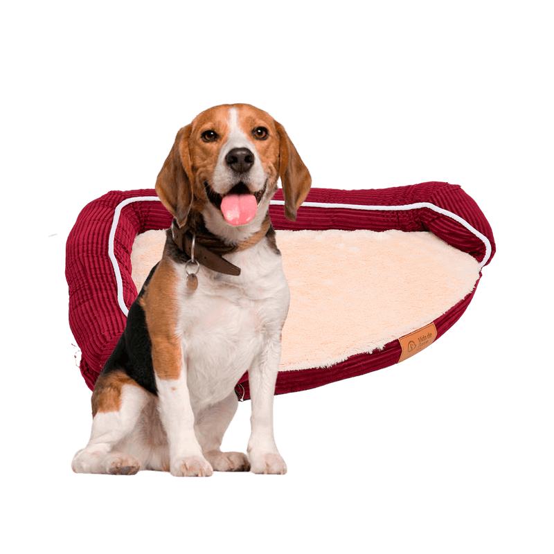 VIDA-D-PERRO-CAMA-P-MASCOTA-VDP4006BUR-MUEBLES-VPE2106BUC30UN-MUNDOTOTAL