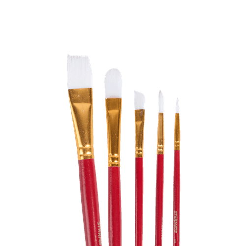 Set de 5 Pinceles Starmate STR-2257