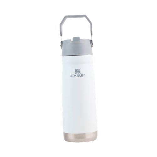 Termo con Asa Flip Straw 650ml Andic YG30