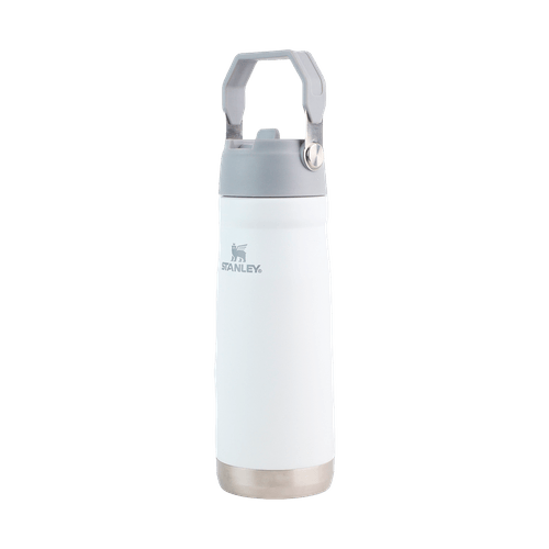 Termo con Asa Flip Straw 650ml Andic YG30