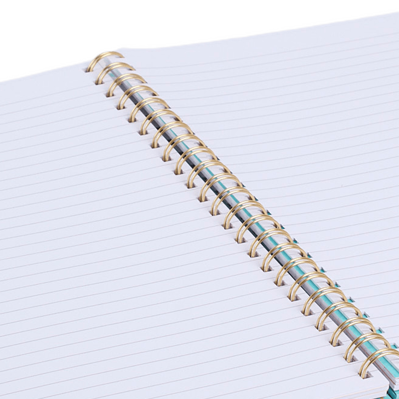 SKL25PP501G0UN-5.png