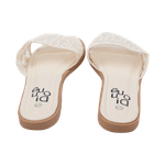 24211KP24100UN-3