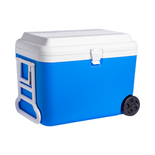 Cava Andic  50 Litros